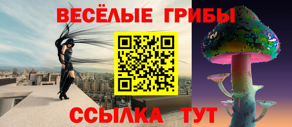 дарнет шоп  Галлюциногенные грибы Psilocybe  Вход с VPN  Псилоцибиновые грибы мицелий  Дербент 